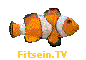 Fitsein.TV