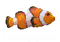 Trainingsger�te