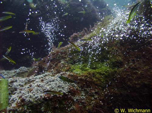 Gasaustritte aus vulkanischem Gestein